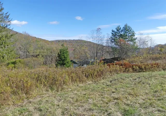 Homes for sale in Andes, NY | 606 Bussey Hollow Rd, Andes, NY 13731 | MLS# R1649309