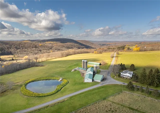 Homes for sale in Franklin, NY | 1625 Carey Rd, Franklin, NY 13775 | MLS# R1647954