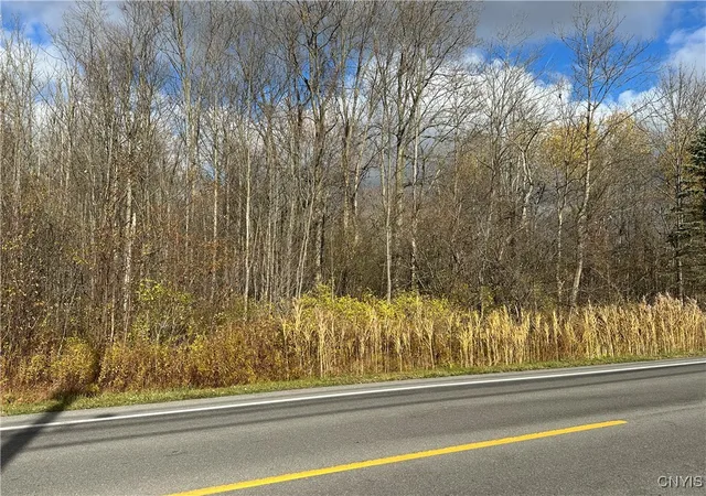 Homes for sale in Scriba, NY | County Route 4, Scriba, NY 13126 | MLS# S1649642