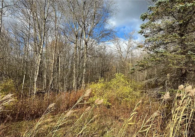 Homes for sale in Scriba, NY | County Route 4, Scriba, NY 13126 | MLS# S1649642