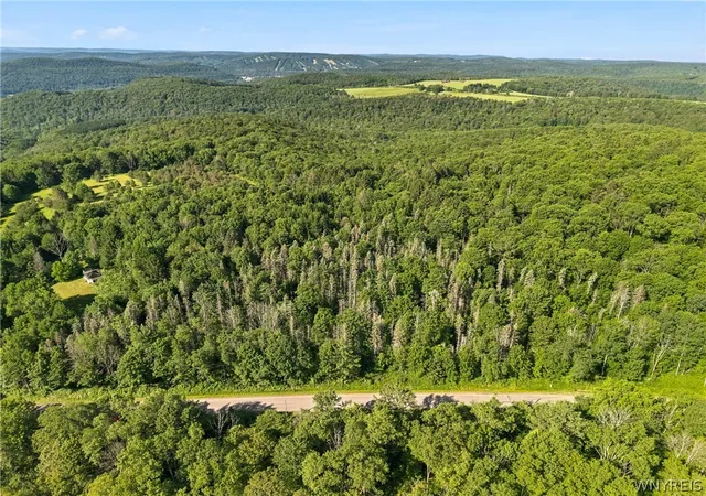 Homes for sale in Ellicottville, NY | Irish Hill Rd, Ellicottville, NY 14731 | MLS# B1646644