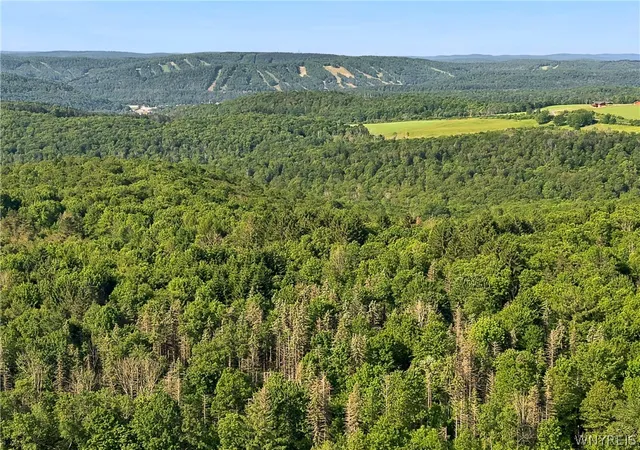 Homes for sale in Ellicottville, NY | Irish Hill Rd, Ellicottville, NY 14731 | MLS# B1646644
