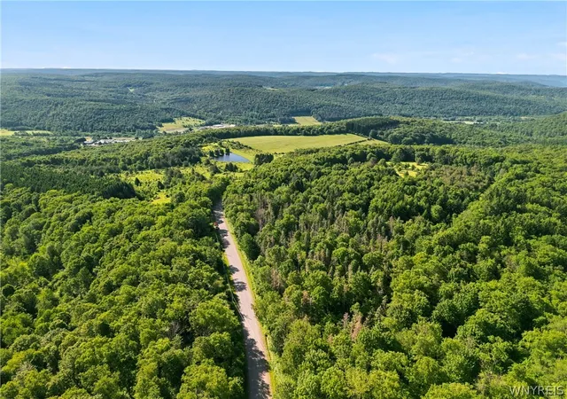 Homes for sale in Ellicottville, NY | Irish Hill Rd, Ellicottville, NY 14731 | MLS# B1646644
