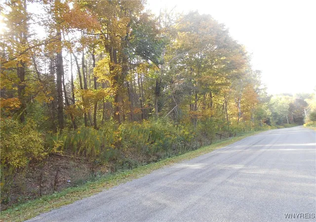 Homes for sale in Ellicottville, NY | Irish Hill Rd, Ellicottville, NY 14731 | MLS# B1646644