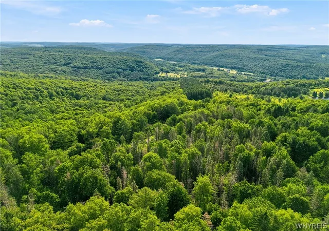 Homes for sale in Ellicottville, NY | Irish Hill Rd, Ellicottville, NY 14731 | MLS# B1646644