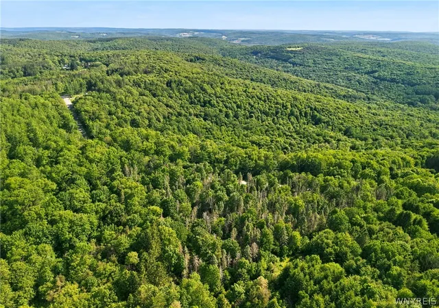 Homes for sale in Ellicottville, NY | Irish Hill Rd, Ellicottville, NY 14731 | MLS# B1646644