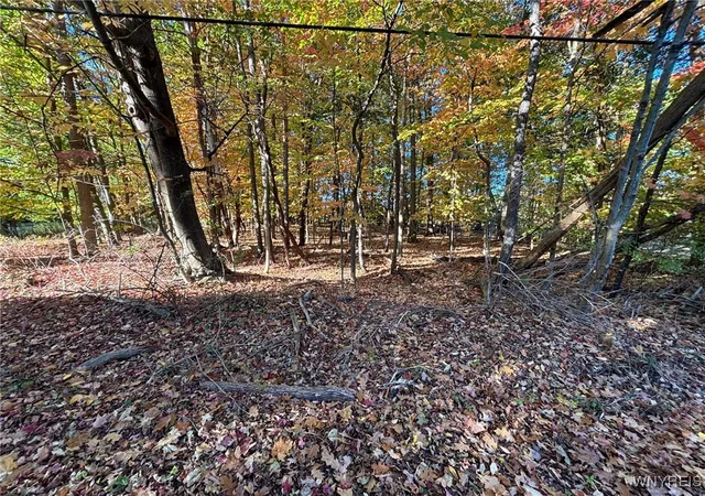 Photo 1 of Land for sale at 0 Stainton Dr, Hamburg, NY 14075 | MLS# B1650759 | Listing updated on 2026-06-25