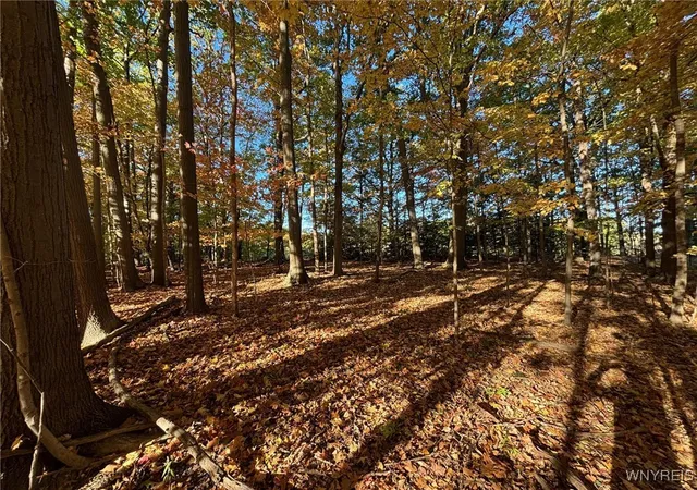Photo 2 of Land for sale at 0 Stainton Dr, Hamburg, NY 14075 | MLS# B1650759 | Listing updated on 2026-06-25