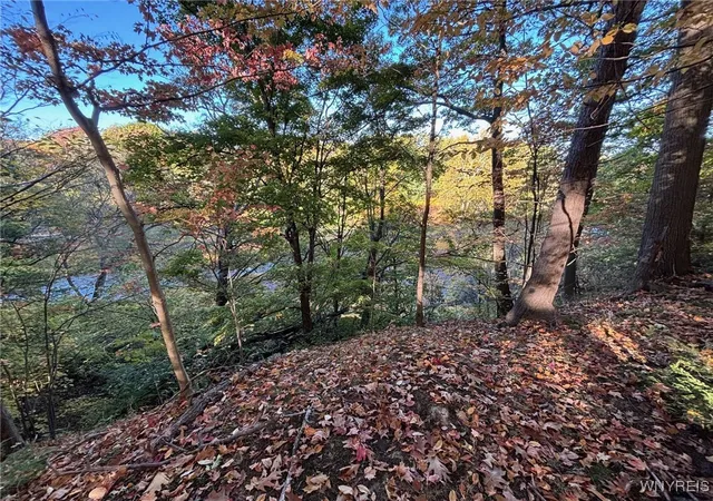 Photo 3 of Land for sale at 0 Stainton Dr, Hamburg, NY 14075 | MLS# B1650759 | Listing updated on 2026-06-25