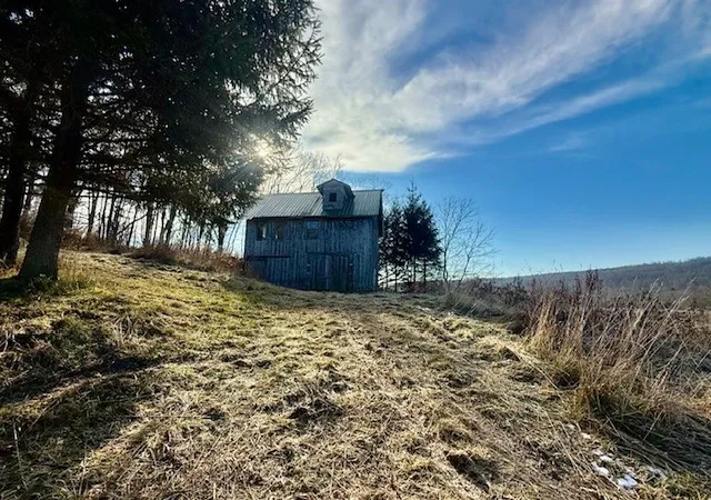 3rd image of Near 476 County Rd 4, Preston, NY 13830 | MLS# R1651732