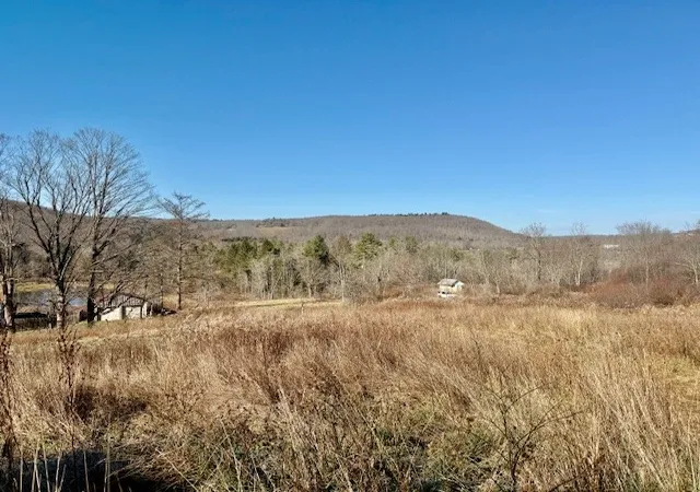 4th image of Near 476 County Rd 4, Preston, NY 13830 | MLS# R1651732