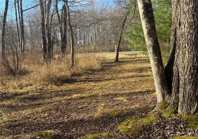 Photo 3 of Sale Pending at Rt 13 N, Vienna, NY 13308 | MLS# S1652248 | Listing updated on 2026-07-27