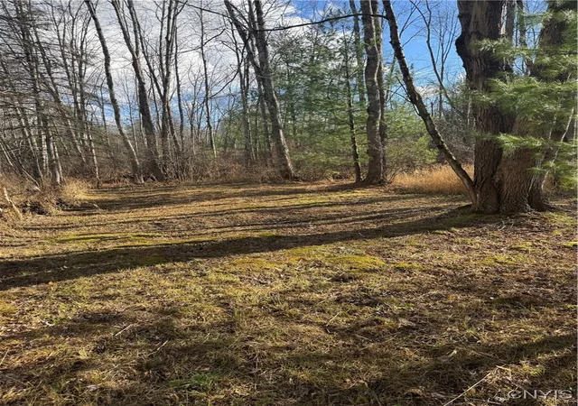 Photo 5 of Sale Pending at Rt 13 N, Vienna, NY 13308 | MLS# S1652248 | Listing updated on 2026-07-27