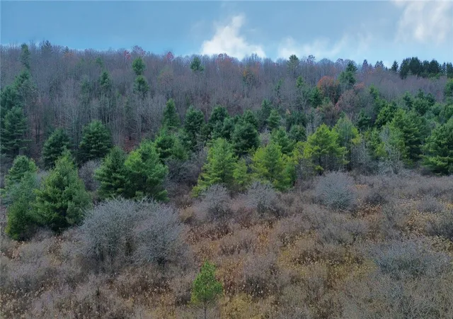 3rd image of 296 Hugg Rd, Baldwin, NY 14901 | MLS# R1652349