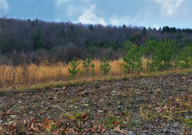 6th image of 296 Hugg Rd, Baldwin, NY 14901 | MLS# R1652349