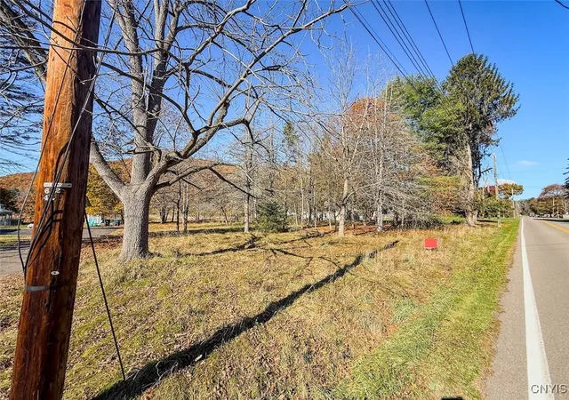 Homes for sale in Big Flats, NY | Olcott Rd N, Big Flats, NY 14814 | MLS# S1652426