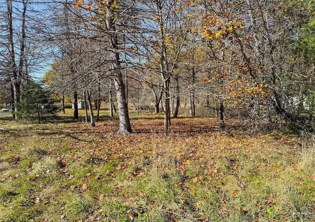 Homes for sale in Big Flats, NY | Olcott Rd N, Big Flats, NY 14814 | MLS# S1652426