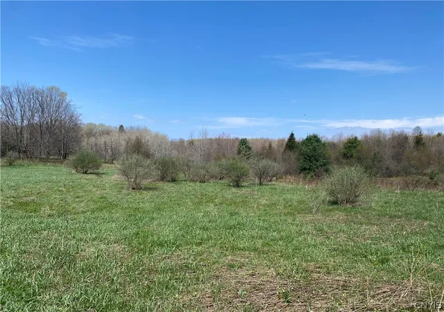Homes for sale in Palermo, NY | County Route 4, Palermo, NY 13069 | MLS# S1652795