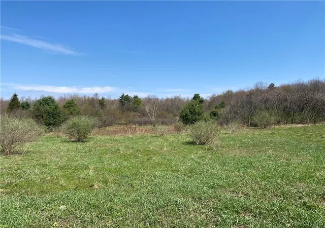 Homes for sale in Palermo, NY | County Route 4, Palermo, NY 13069 | MLS# S1652795
