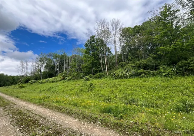 Homes for sale in Ellicottville, NY | Tbb Lot #5 42 Degrees North, Ellicottville, NY 14731 | MLS# B1652525
