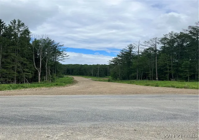 Homes for sale in Ellicottville, NY | Tbb Lot #5 42 Degrees North, Ellicottville, NY 14731 | MLS# B1652525