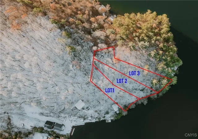 Homes for sale in Diana, NY | Lot 3 Dewey Point Ln, Diana, NY 13648 | MLS# S1652985