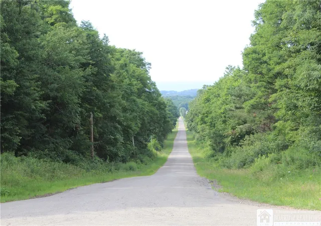 14th image of Woleben Rd, Portland, NY 14769 | MLS# R1653965
