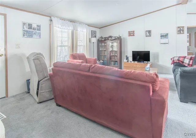 Homes for sale in Diana, NY | 14188 State St, Diana, NY 13648 | MLS# S1654390