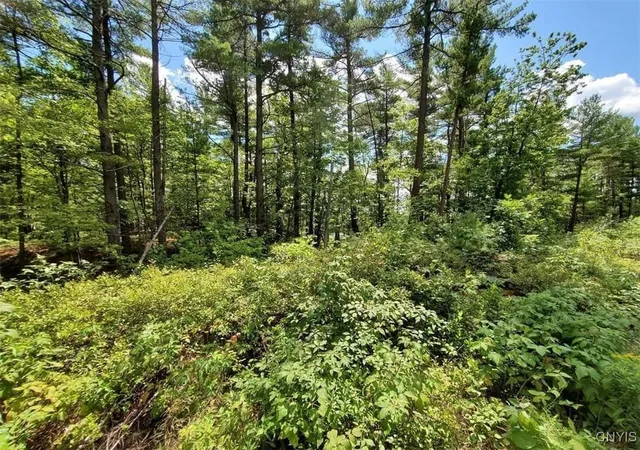 Homes for sale in Theresa, NY | Lot B Beachfront Lane Dr N, Theresa, NY 13691 | MLS# S1654394