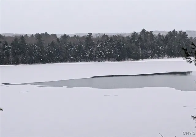 Homes for sale in Theresa, NY | Lot B Beachfront Lane Dr N, Theresa, NY 13691 | MLS# S1654394