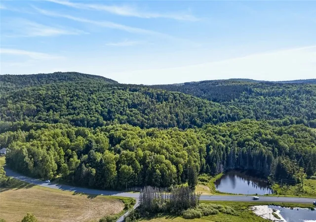 3rd image of L1 County Rd 16, Otselic, NY 13815 | MLS# R1654184