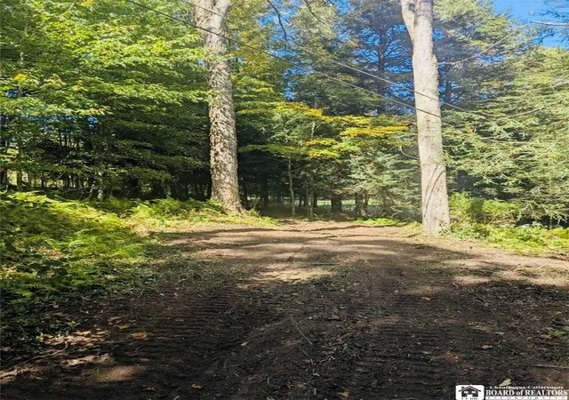 15th image of 2404 Shadyside Rd, Mina, NY 14736 | MLS# R1655070