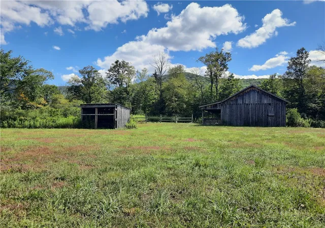 Homes for sale in Roxbury, NY | Tbd County Route 41 Rd, Roxbury, NY 12474 | MLS# R1656203