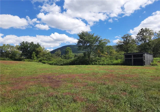 Homes for sale in Roxbury, NY | Tbd County Route 41 Rd, Roxbury, NY 12474 | MLS# R1656203