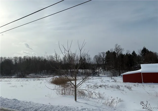1st image of Perry Rd, Van Buren, NY 13027 | MLS# S1655967