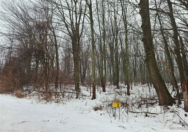 19th image of 6480 Ditch Rd, Royalton, NY 14105 | MLS# B1656348