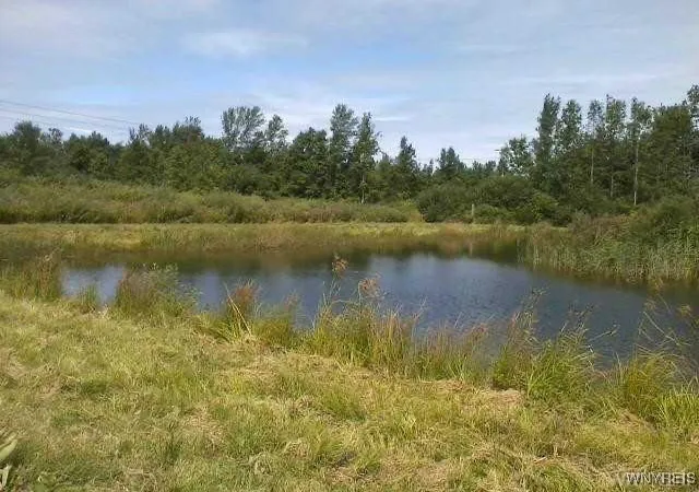 1st image of 6480 Ditch Rd, Royalton, NY 14105 | MLS# B1656348