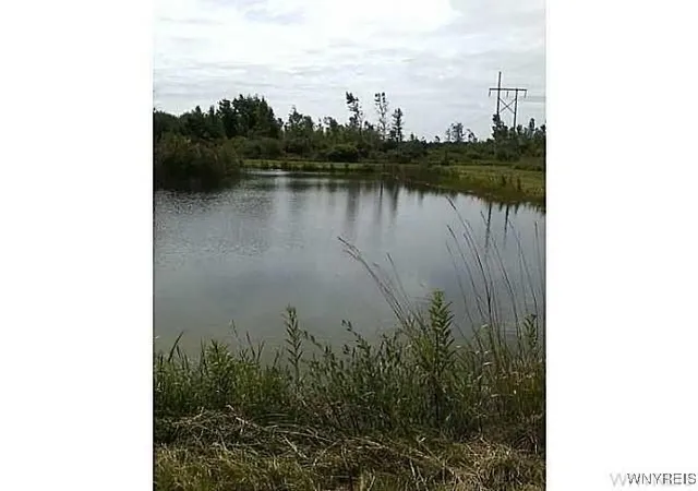 2nd image of 6480 Ditch Rd, Royalton, NY 14105 | MLS# B1656348