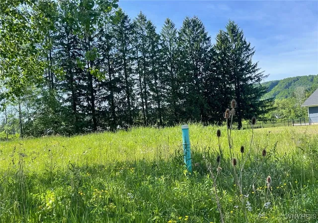 Homes for sale in Ellicottville, NY | 21 Parkside Dr, Ellicottville, NY 14731 | MLS# B1656512