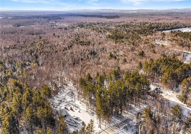 Homes for sale in Forestport, NY | 1134 Bear Creek Rd, Forestport, NY 13338 | MLS# S1656931