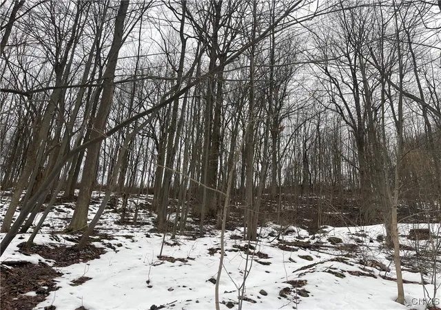 Homes for sale in Cato, NY | 10673 State Route 34, Cato, NY 13166 | MLS# S1657937