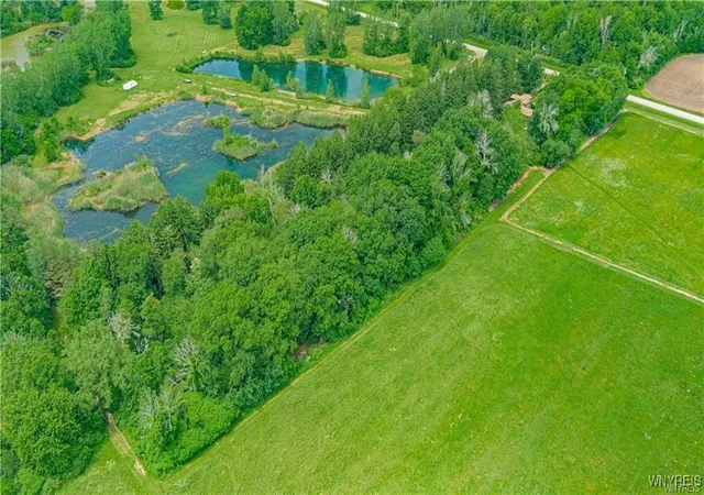 41st image of 5948 Chestnut Rd, Newfane, NY 14108 | MLS# B1657954