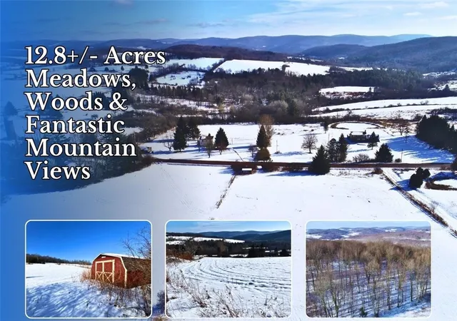 Homes for sale in Hamden, NY | Lot 41 42 Hamden Hill Rd, Hamden, NY 13782 | MLS# R1658878