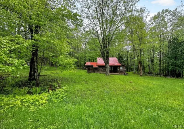 Homes for sale in Ohio, NY | 1848 Gray Wilmurt Rd, Ohio, NY 13324 | MLS# S1658780