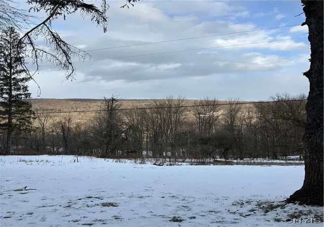 Photo 1 of Land for sale at 3023 W River Rd, Cortland, NY 13045 | MLS# S1659095 | Listing updated on 2026-07-23
