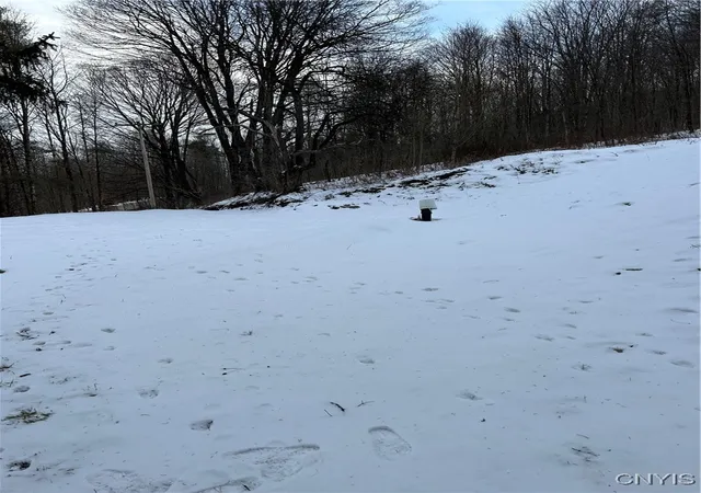 Photo 4 of Land for sale at 3023 W River Rd, Cortland, NY 13045 | MLS# S1659095 | Listing updated on 2026-07-23