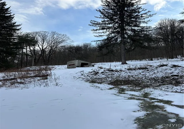 Photo 5 of Land for sale at 3023 W River Rd, Cortland, NY 13045 | MLS# S1659095 | Listing updated on 2026-07-23