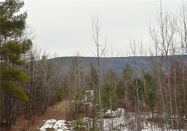 4th image of 169 Tae Kwon Rd, North Blenheim, NY 12131 | MLS# R1659420