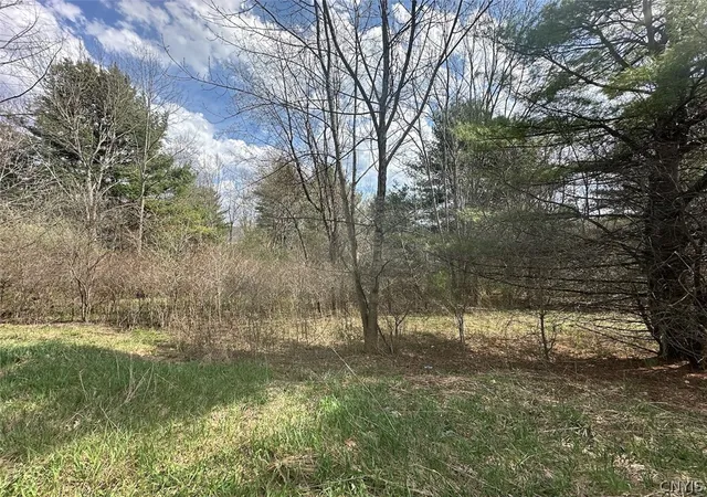 Homes for sale in Friendship, NY | Pigtail Rd, Friendship, NY 14739 | MLS# S1659701