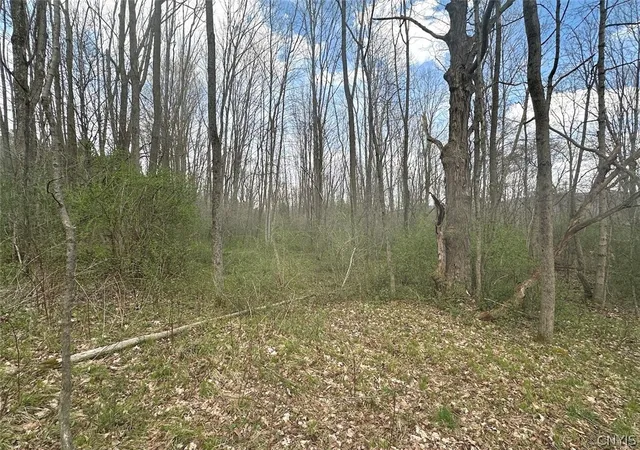 Homes for sale in Friendship, NY | Pigtail Rd, Friendship, NY 14739 | MLS# S1659701